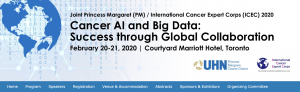Cancer AI and Big Data: Success through Global Collaboration